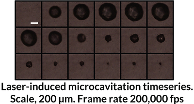 laser-induced microcavitation timeseries.