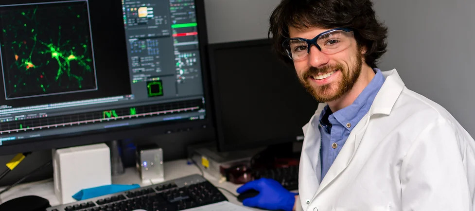 Imaging of 3D neural cell culture using Confocal and Multiphoton Microscopy