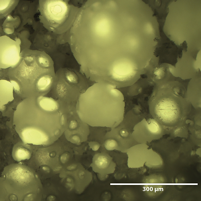 Foam mesostructure