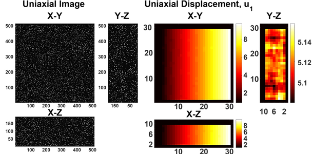 Digital Volume Correlation (DVC) Simulator illustration
